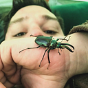 Cristobal Stock Cristi