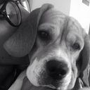 Pepino Melendez Quintana