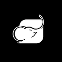 Emmanuel Ramírez H.