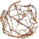 Eleonora Tugues Plaza