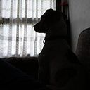 Augusto Ivan Perez Salazar