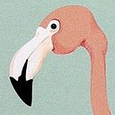 Laura Martín Rancel