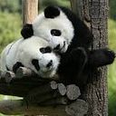 Cristiam Zlatan Uribe Daga