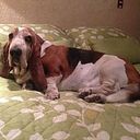 Minerva Paredes Rivera