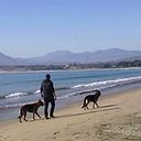 César Romero Véliz