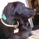 Henry Rincon Urdaneta