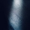 Vladimir Camargo Vargas