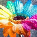 Olga Lucia Tovar Medina