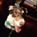 nicolas Muñiz Truyenque