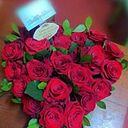 Repegapalopos Florería