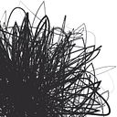 Sofía Maggi Fernández