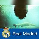 Abraham Cruz Carrasco