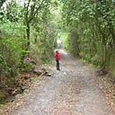 Natty González Arriagada