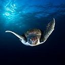 Antonio Martín Rodríguez