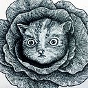 Luis Enrique Zuñiga Fernandez