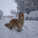 Nora Alabarces Sáez