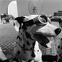 Adrià Losa González