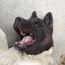 Valentín Rodríguez