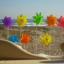 Cucafloripondia Decoraciones