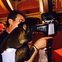 Fernando Hermos Hinojosa