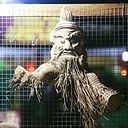 Néstor Vidal Amoedo