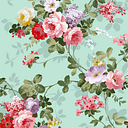 Carla Castellanos Barra