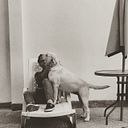 Luchito Vera Briones