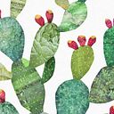 Carmenchu Orbe Rubio