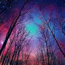 Julien Galeano Serrato