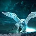 benavidesjuansebas78