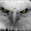 Carlos Eduardo Tello Segura