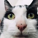 Mishu Montaño