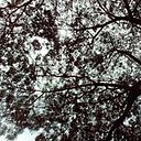 luz enitt Eugenio santage