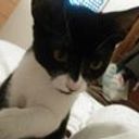 Mariló Guerrero Tornay