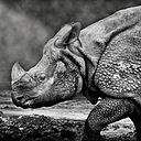 Mariano Fernández-Lázaro