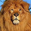 Guido Alvarez Enriquez