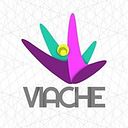 Viache Diseños