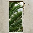 Daniela Franceschini Ochoa