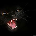 d_paz_alarcon