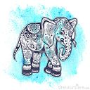 anlly caterine castaño henao