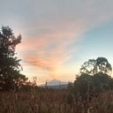 Fernando Conde Muñoz