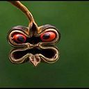 Alfonso R. Themeliadou