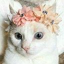 Blanca Becerra Aguirre