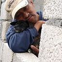 alfonso_sorianopalma