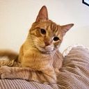 andreavillela_contacto