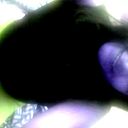 Cristina bon Dongo peña