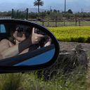 María Antonia Zamorano