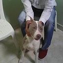 Juan Noriega