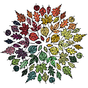 Isai Sanchez Santiago