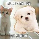 Monse Arriero Pedroza